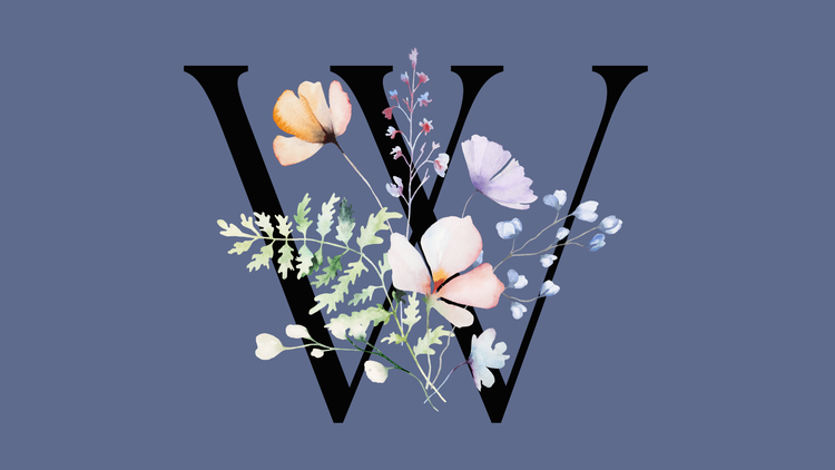 WordPress in Schools: A Short Review